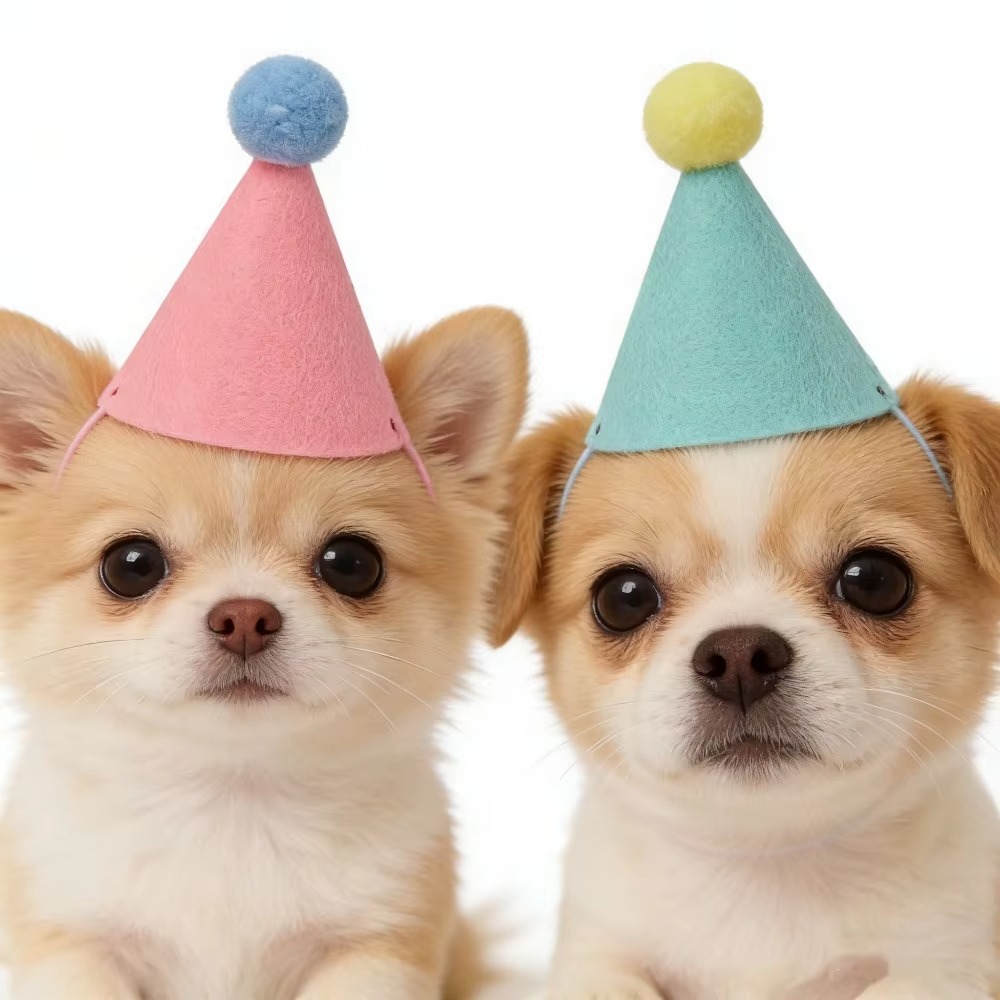6/12 unidades de gorros de fie - Party Hat Cone reseña y precio
